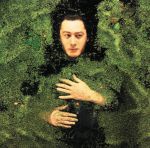 Alain Bashung - La nuit je mens