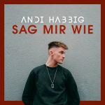 Andi Habbig - Sag mir wie